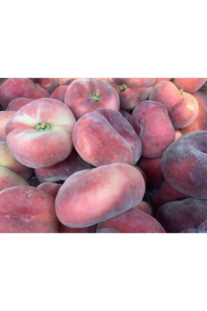 Персик інжирний Нікітський — плоскі солодкі плоди